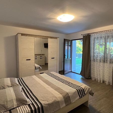 Casa Andrei Vila Cîrţişoara Exterior foto