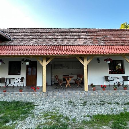 Casa Andrei Vila Cîrţişoara Exterior foto