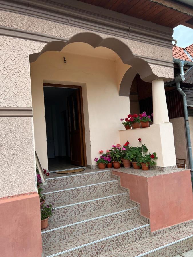 Casa Andrei Vila Cîrţişoara Exterior foto
