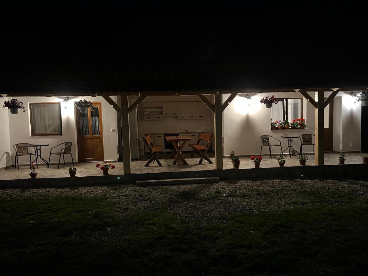 Casa Andrei Vila Cîrţişoara Exterior foto