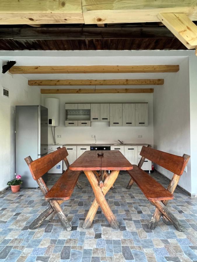 Casa Andrei Vila Cîrţişoara Exterior foto