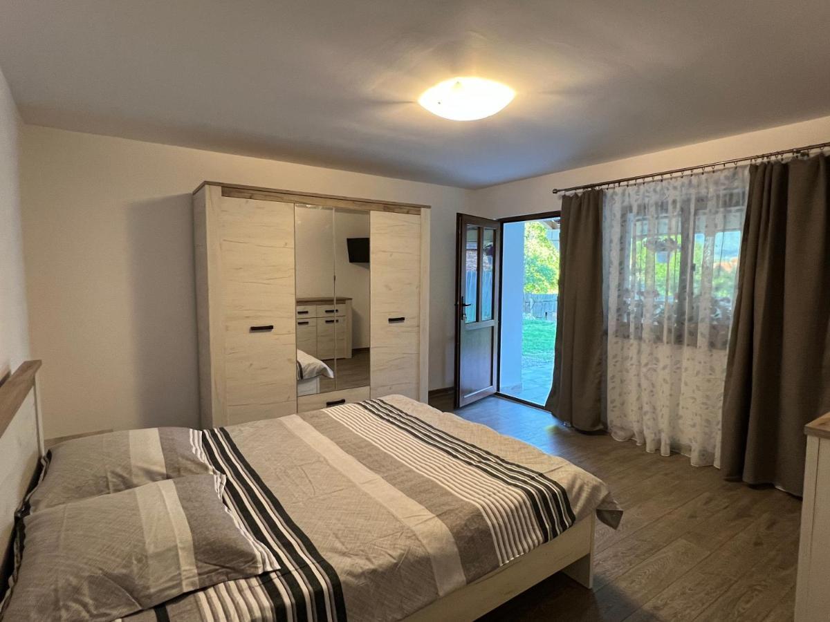 Casa Andrei Vila Cîrţişoara Exterior foto