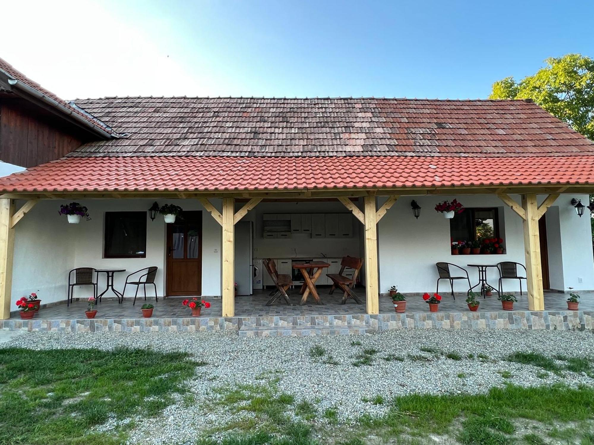 Casa Andrei Vila Cîrţişoara Exterior foto